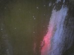 08105.JPG
