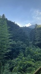 IMG_3176.jpg