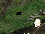 IMG_3478.JPG