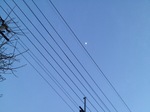 IMG_3503.JPG