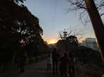 IMG_4939.JPG
