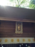 IMG_8588.JPG