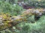 IMG_E2230.JPG