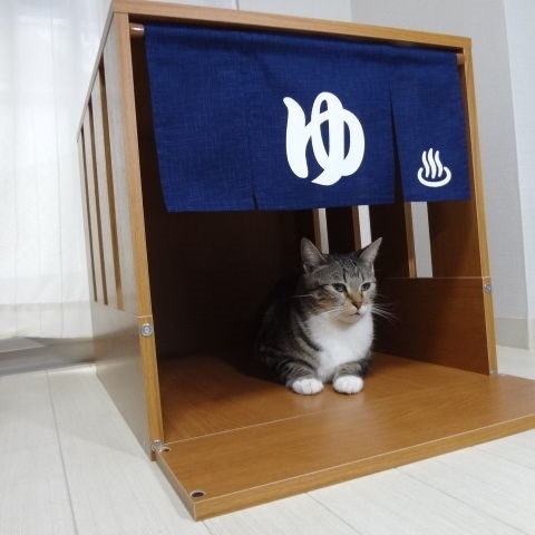 NEKOYU.jpg